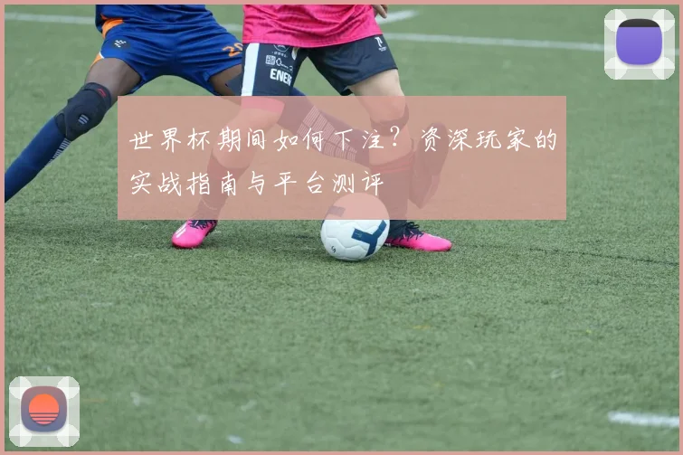 世界杯期间如何下注？资深玩家的实战指南与平台测评