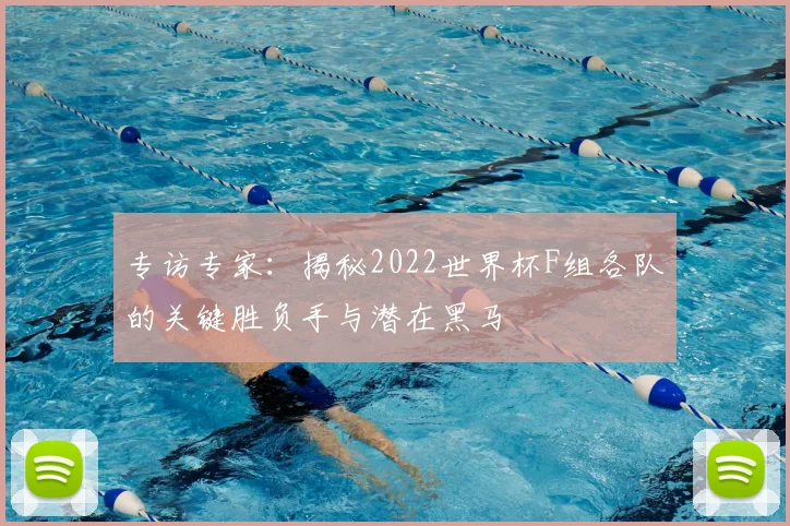 专访专家:揭秘2022世界杯F组各队的关键胜负手与潜在黑马