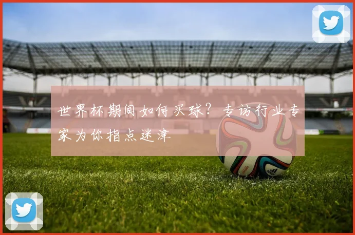 世界杯期间如何买球?专访行业专家为你指点迷津