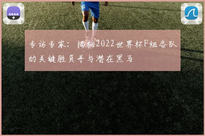 专访专家:揭秘2022世界杯F组各队的关键胜负手与潜在黑马