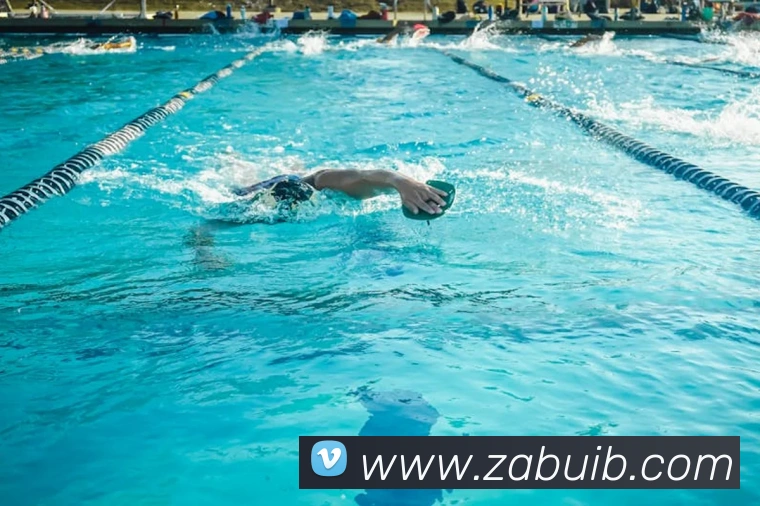 爱游戏登录官网全站App